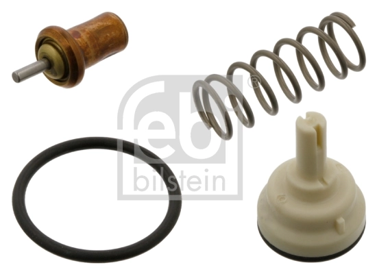 Thermostat, coolant